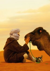 ado face à un dromadaire dans le desert lors d'une retraite